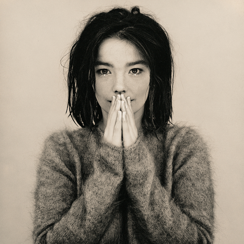 Björk Debut Album Cover